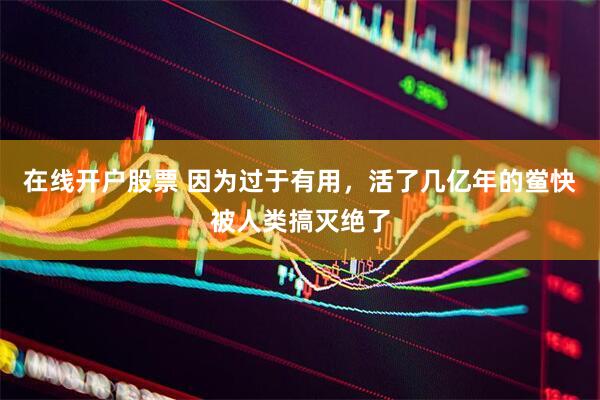 在线开户股票 因为过于有用，活了几亿年的鲎快被人类搞灭绝了