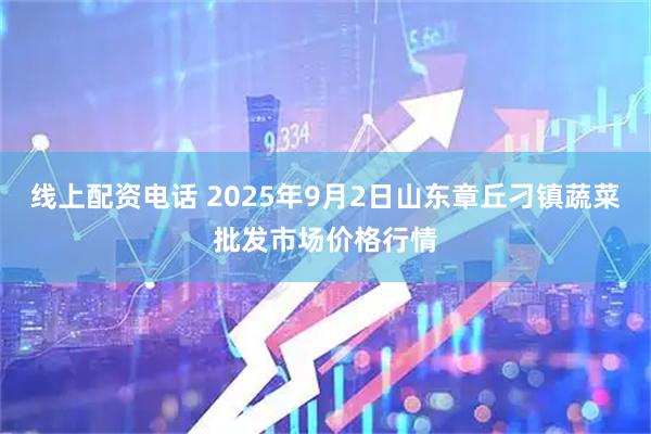 线上配资电话 2025年9月2日山东章丘刁镇蔬菜批发市场价格行情