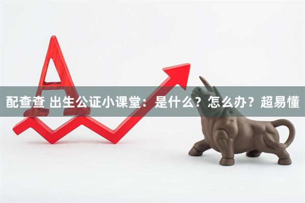 配查查 出生公证小课堂：是什么？怎么办？超易懂