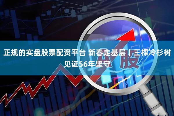 正规的实盘股票配资平台 新春走基层｜三棵冷杉树见证56年坚守