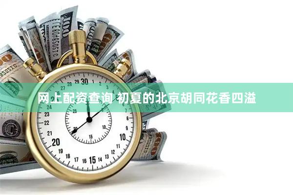 网上配资查询 初夏的北京胡同花香四溢